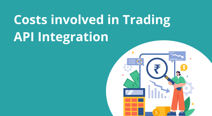 API Integration Cost USA 